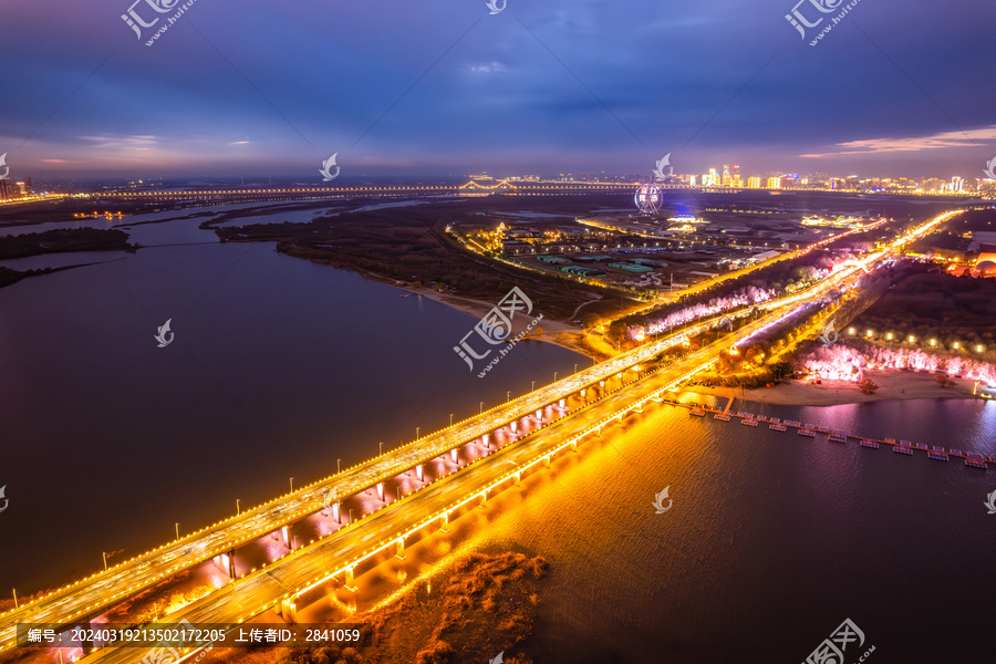 中国哈尔滨松花江公路大桥夜景