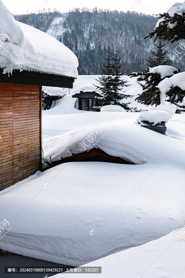 黑龙江雪乡雪景旅游民宿东北农村