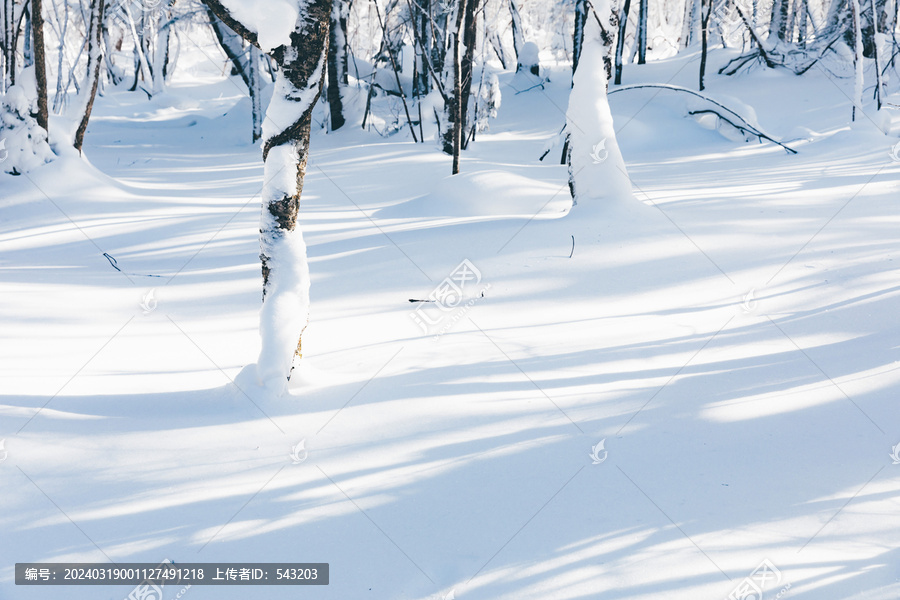 冬季天森林雪景树挂东北老里克湖