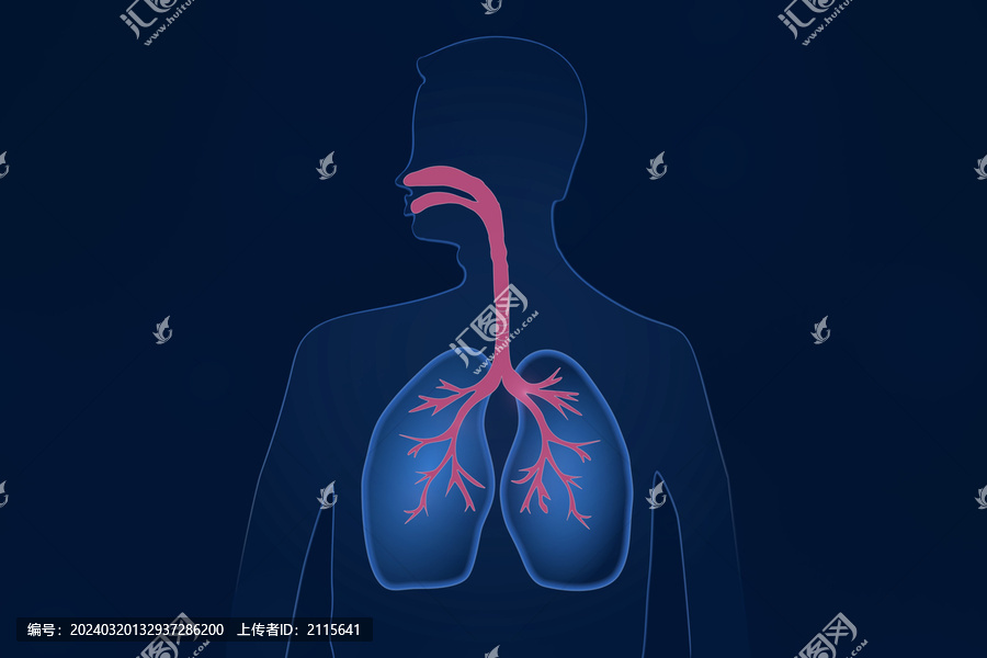 肺部气管人体影像医疗蓝色背景