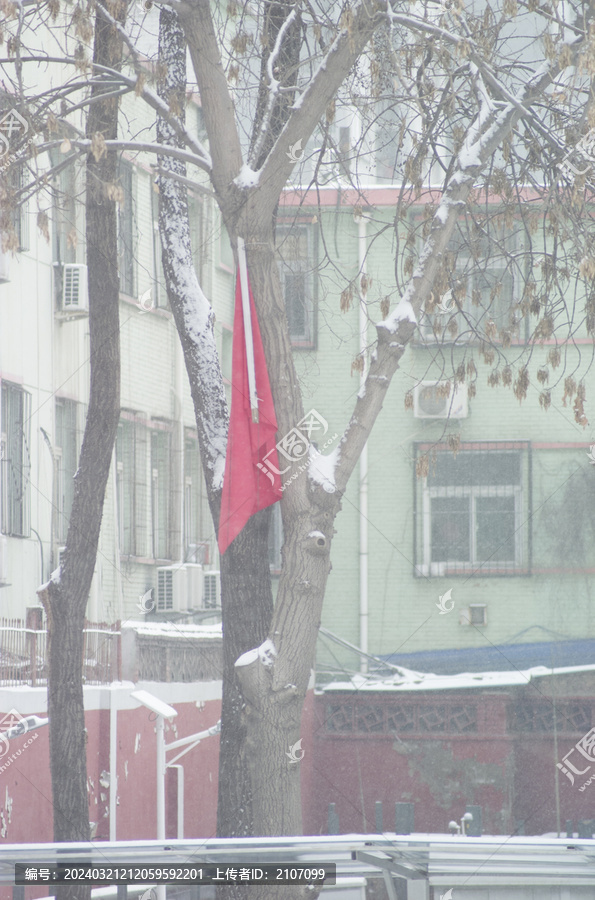 雪中的红旗