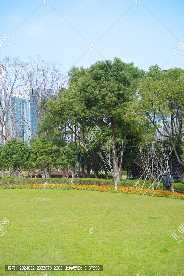 城市公园草坪绿化
