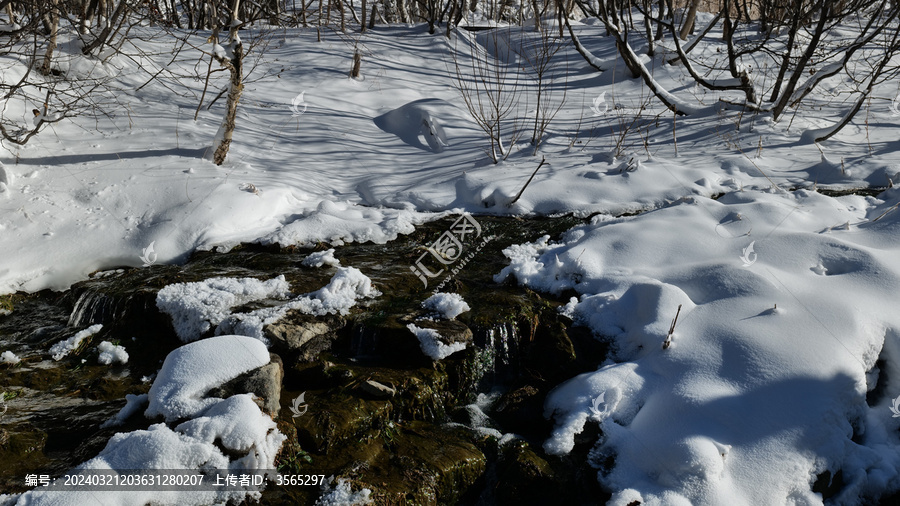 长白山路面雪景