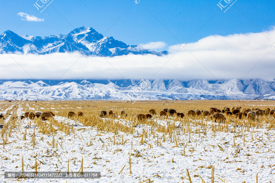 新疆冬季巍巍天山