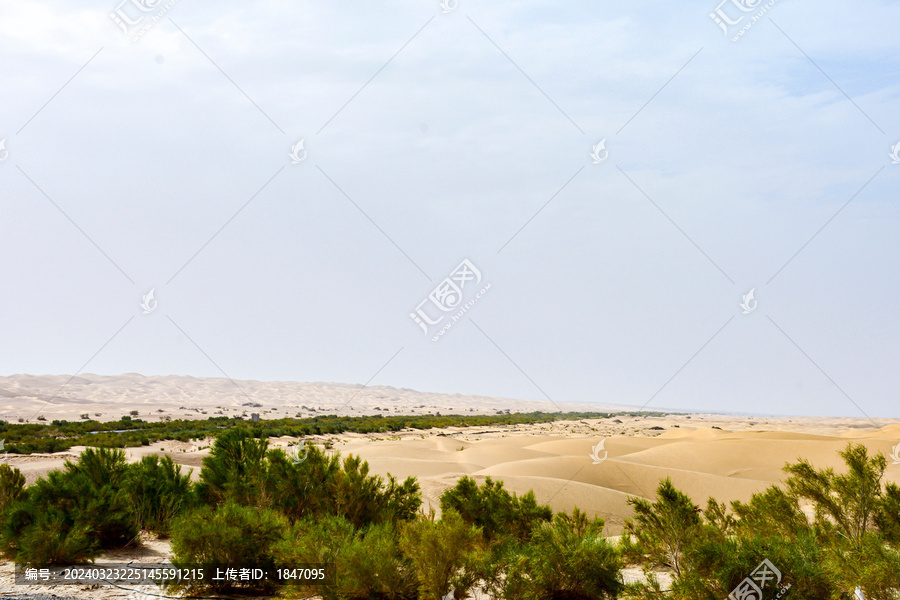 塔里木沙漠石油公路