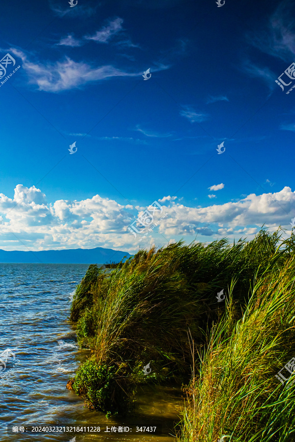 昆明滇池湿地