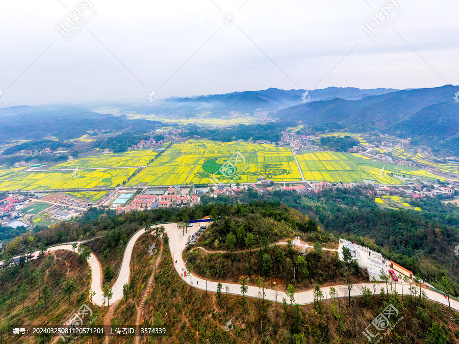 湖南省衡阳县油菜花竞相争放