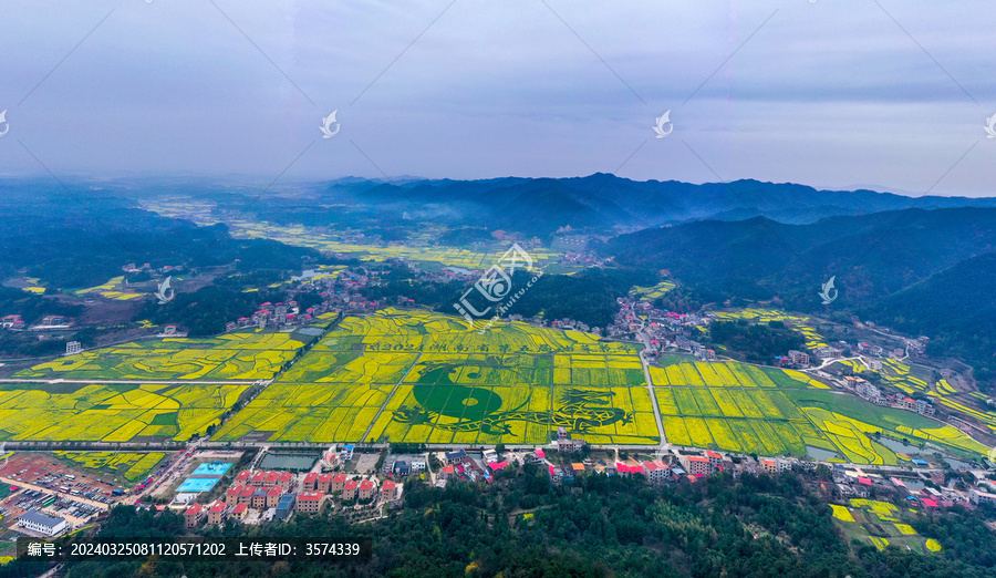 湖南省衡阳县油菜花竞相争放