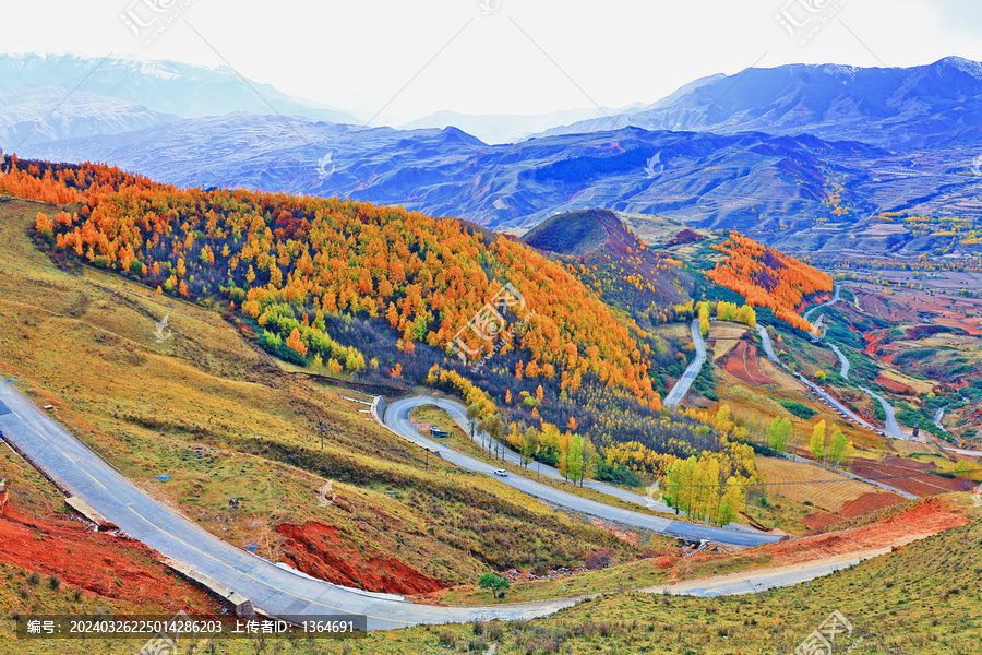 西宁海东扎哈公路秋色秋景