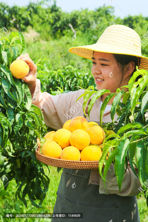 黄金水蜜桃