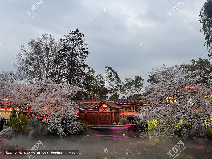 武汉东湖樱花园