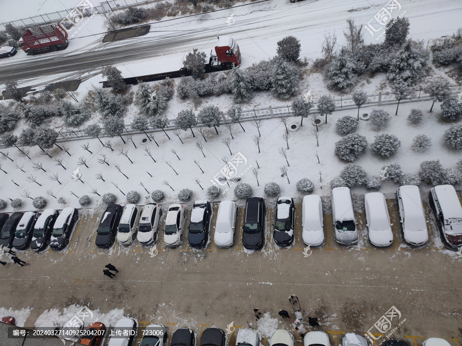 雪后绿化带