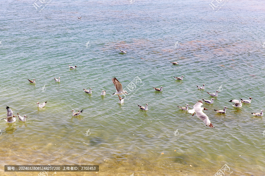 青海乌苏特水上雅丹