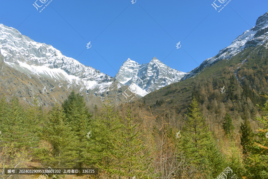 阿坝四姑娘山双桥沟雪山玉兔峰