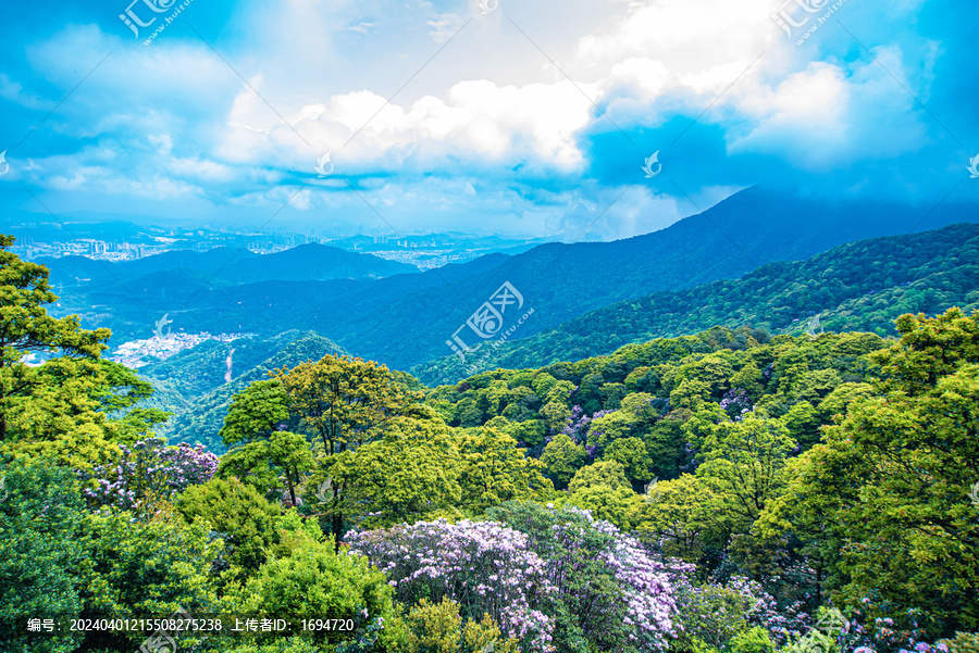 梧桐山万花屏