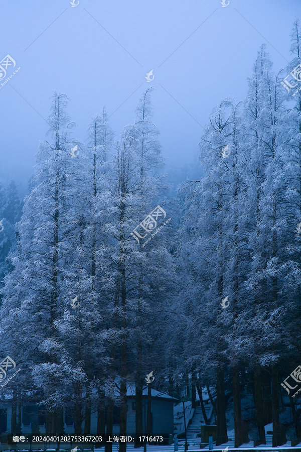 庐山雪景