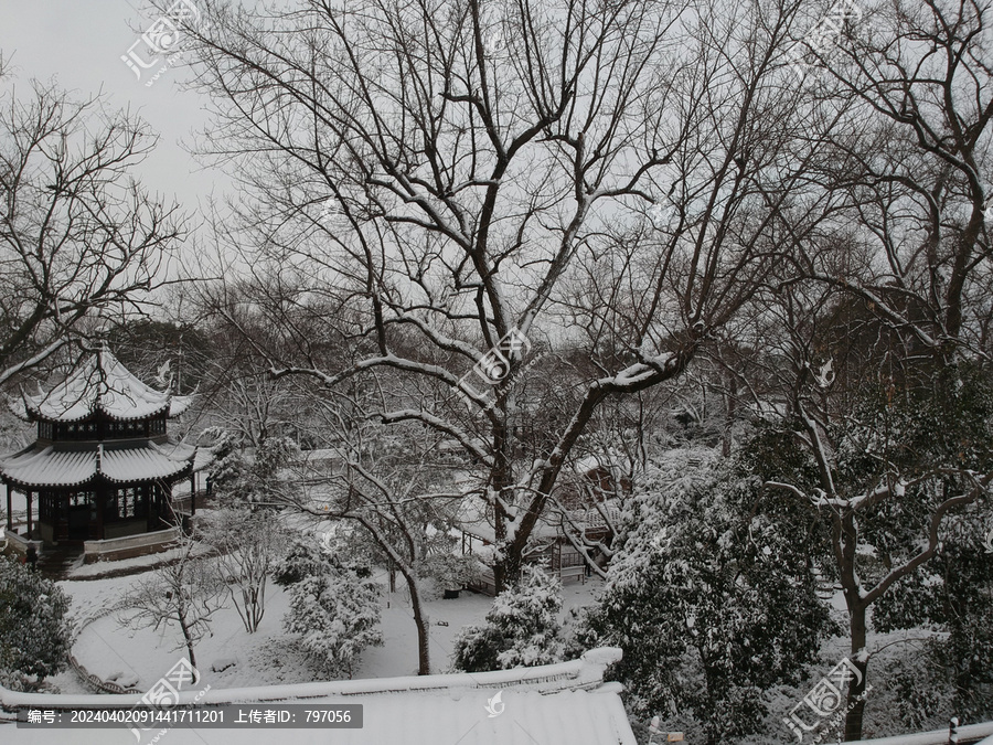 雪天在拙政园眺望北寺塔