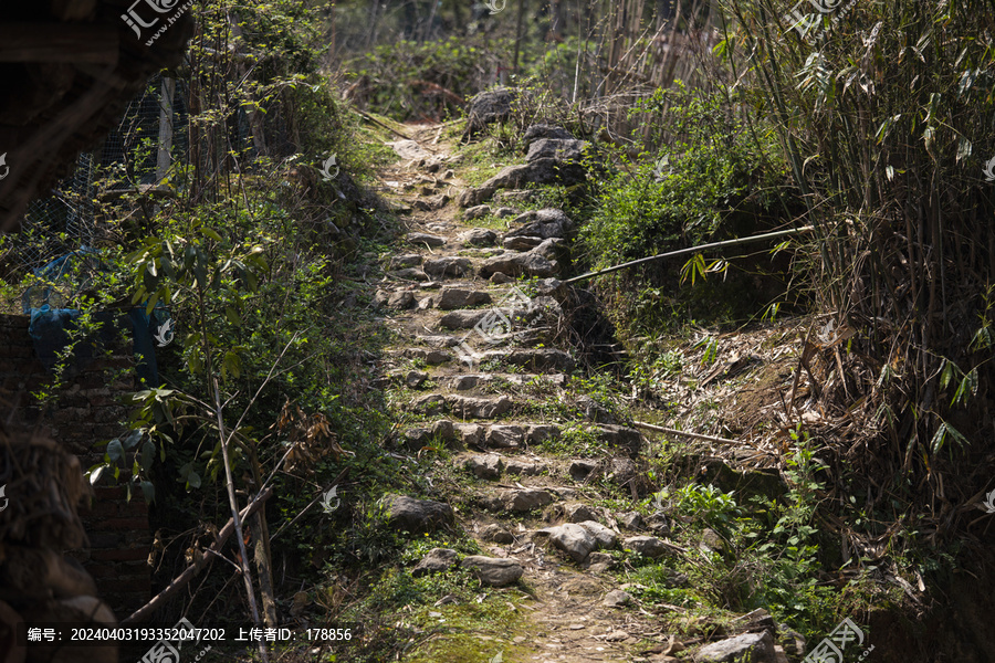 山间小路