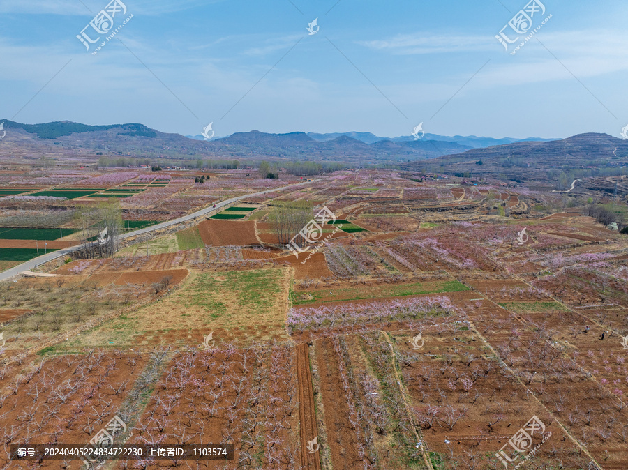 春天的蒙阴岱崮地貌