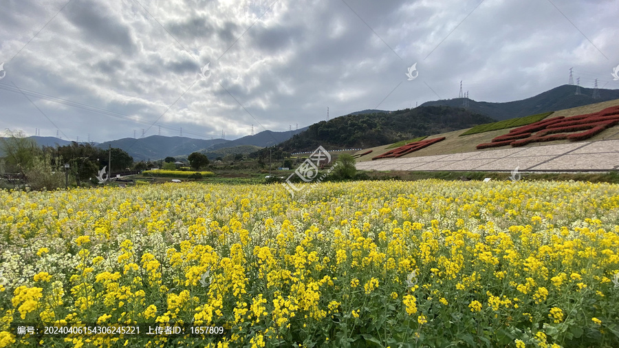 乡村美景