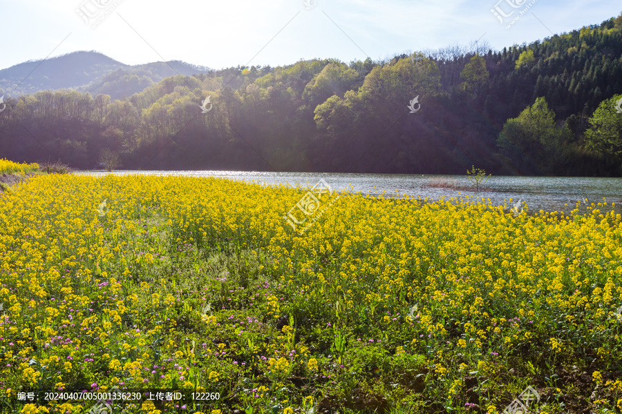 田园风光