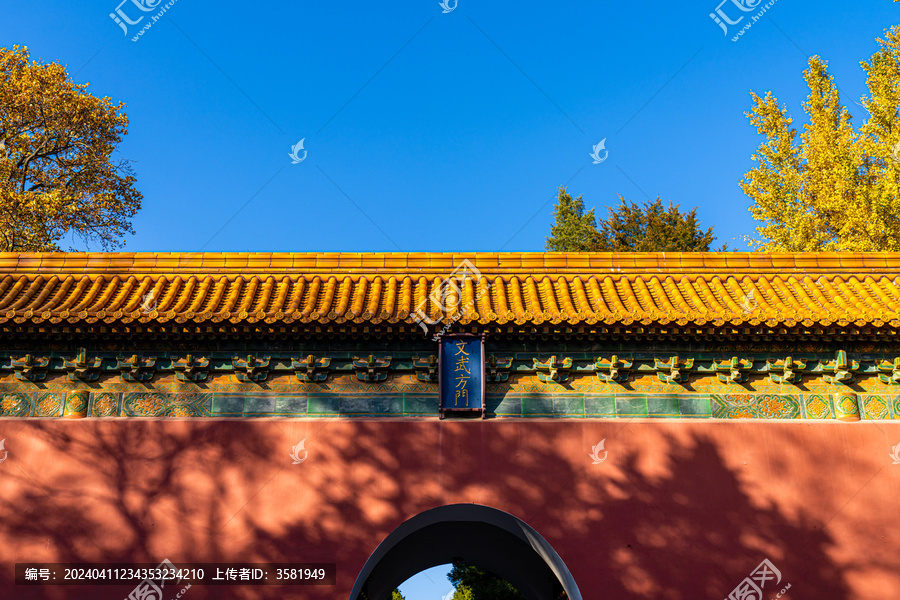 南京秋天明孝陵风景