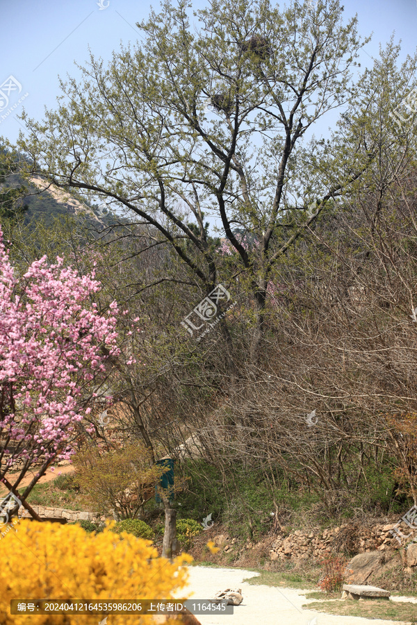 日照石老山风景区