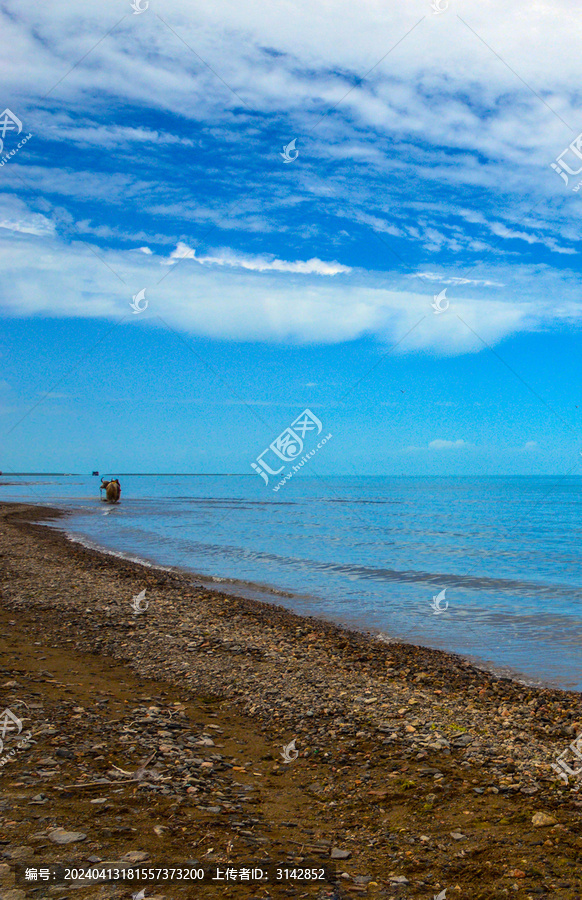 青海湖