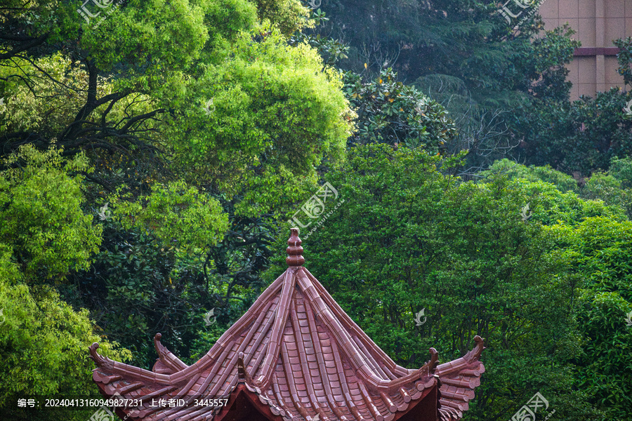 仿古建筑凉亭