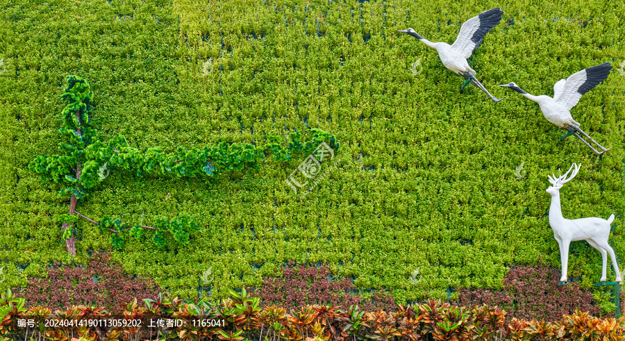 高清绿植背景墙