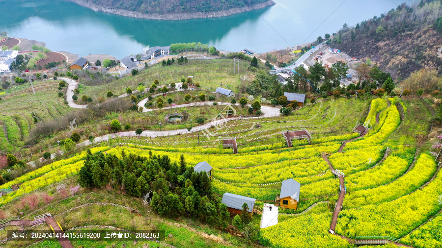 堵河岸的方滩乡植物园中油菜园