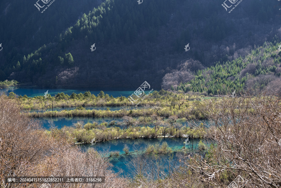 晴天日出九寨沟树正群海