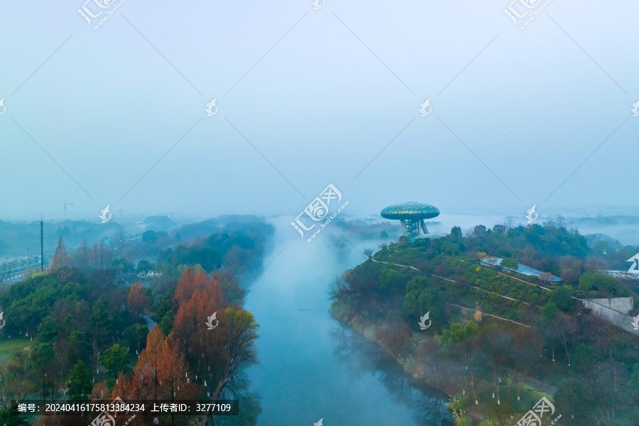 杭州西溪湿地公园森林风光
