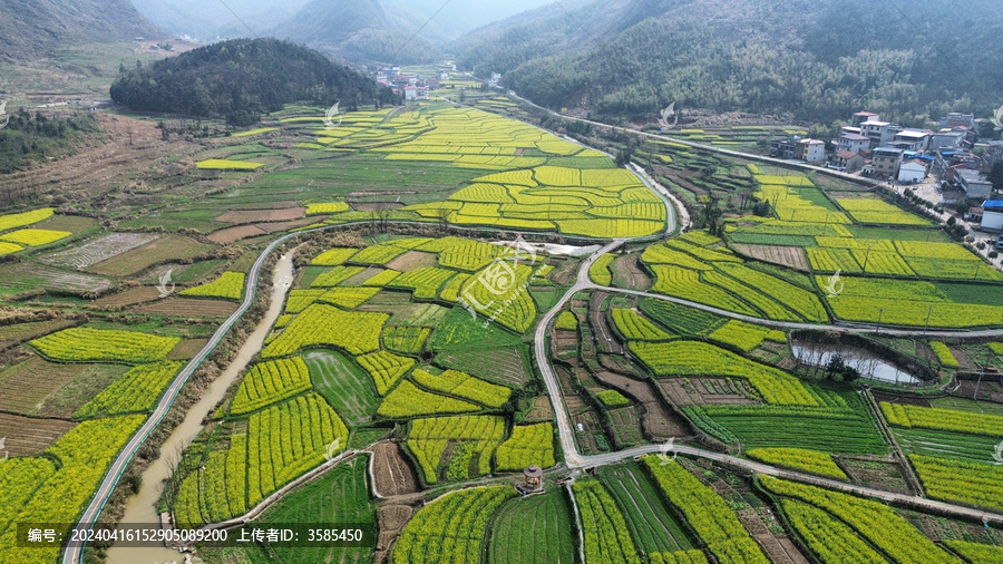 湖北省咸宁市大幕山油菜花