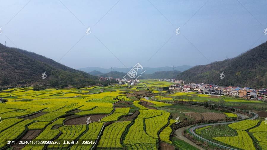 湖北省咸宁市大幕山油菜花