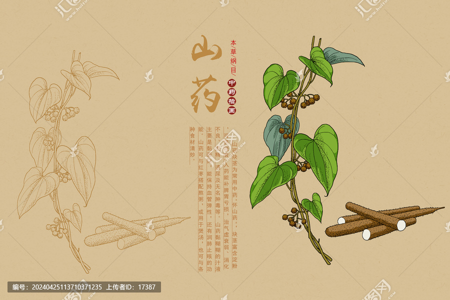 山药