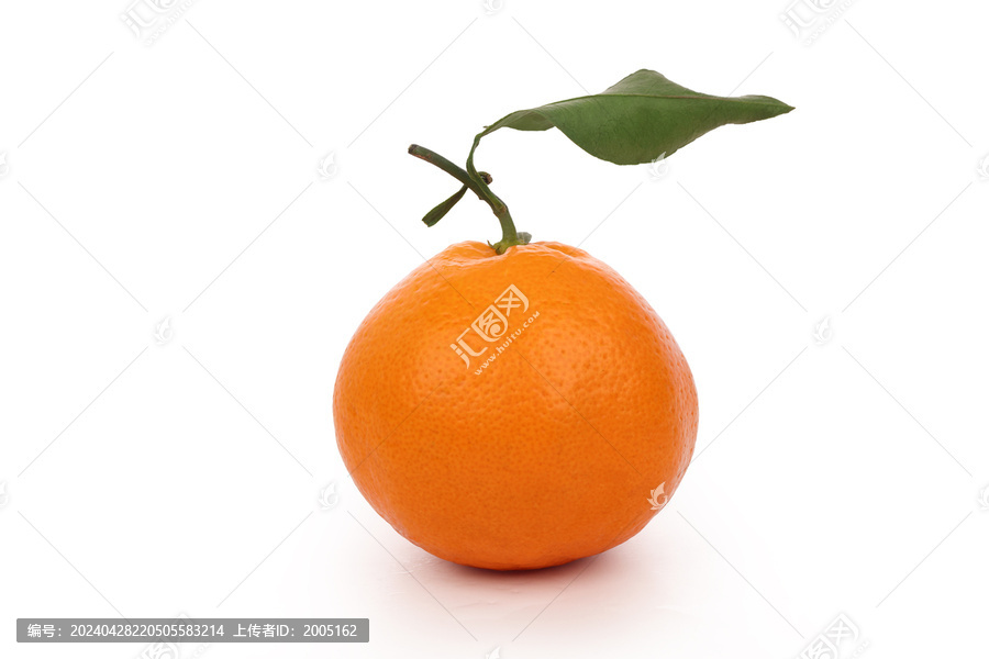 水果橘子桔子果冻橙白底图