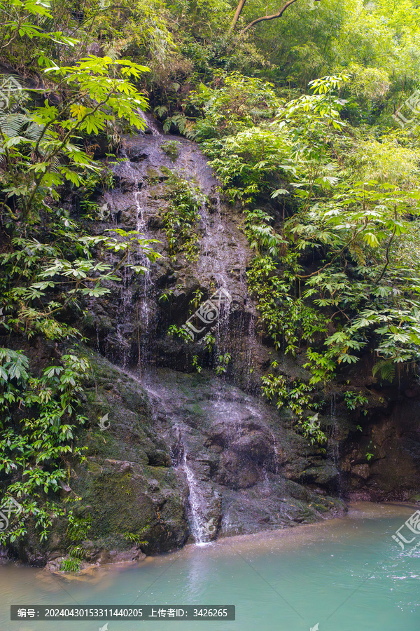 重庆黑山谷的瀑布水流景观