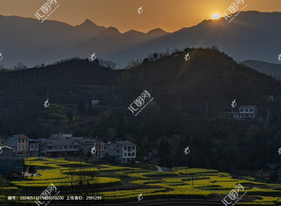 夕阳下的油菜花