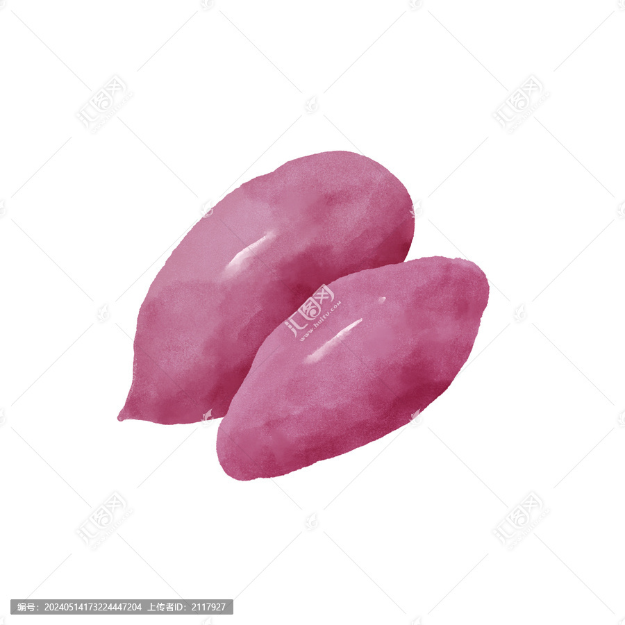 紫薯水彩插画蔬菜素材