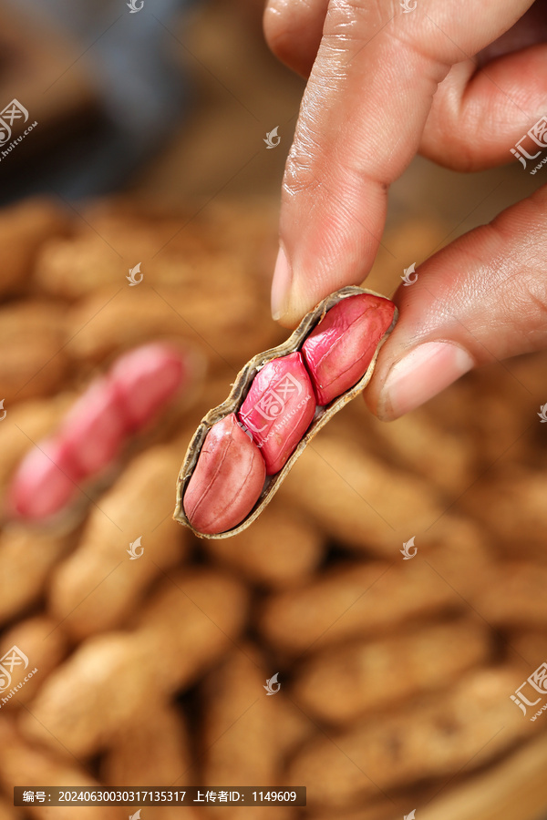红皮花生