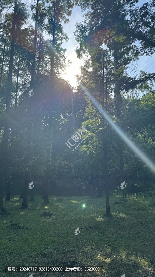 小暑