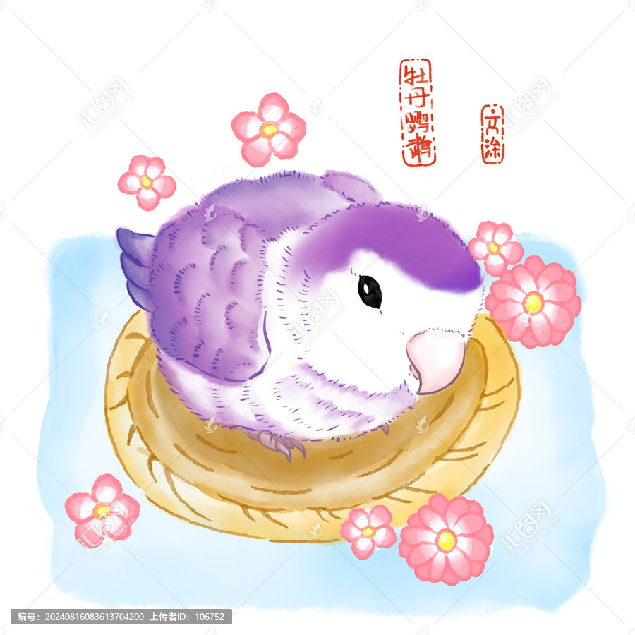 牡丹鹦鹉插画插图图案