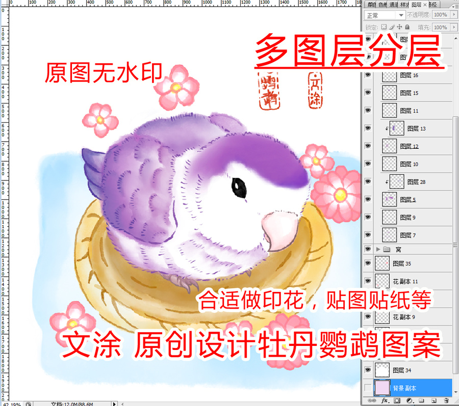 牡丹鹦鹉插画插图图案
