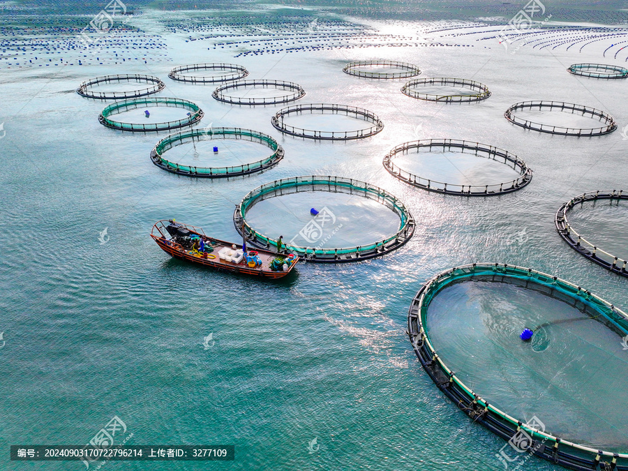 南麂岛海上牧场水产养殖风光