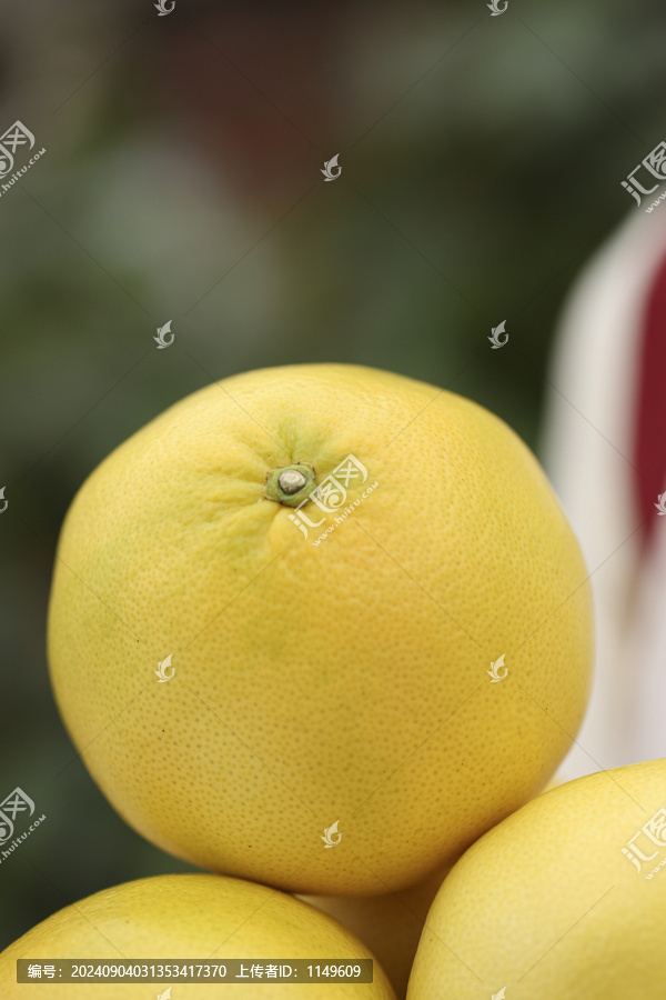 黄金葡萄柚