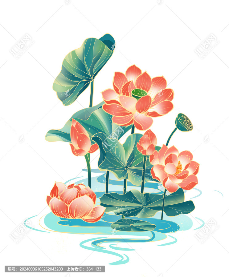 荷花