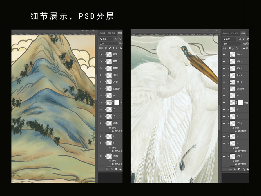 白鹭荷花插画