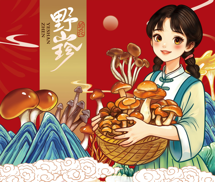 山珍包装