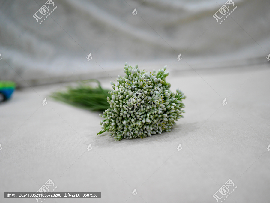 韭菜花
